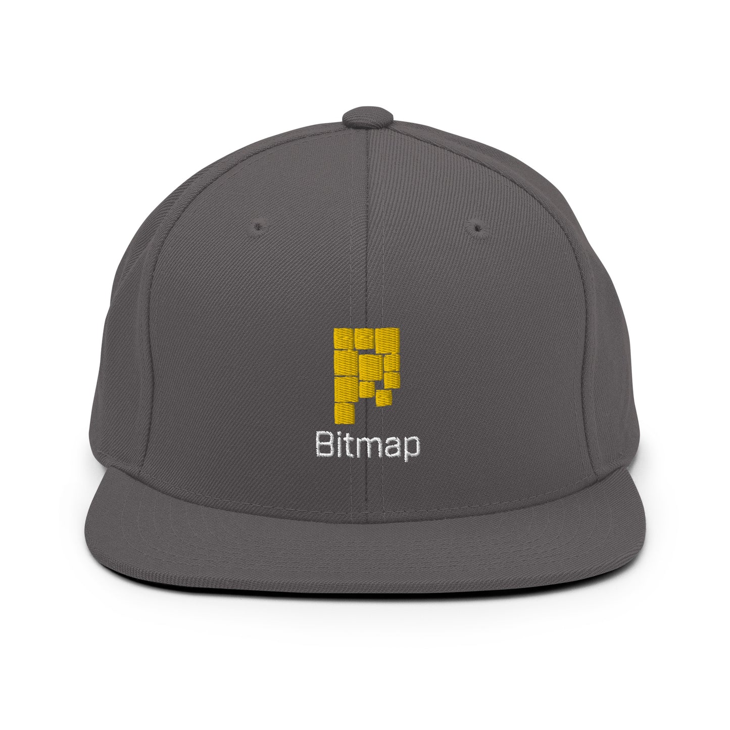 Bitmap Snapback Hat