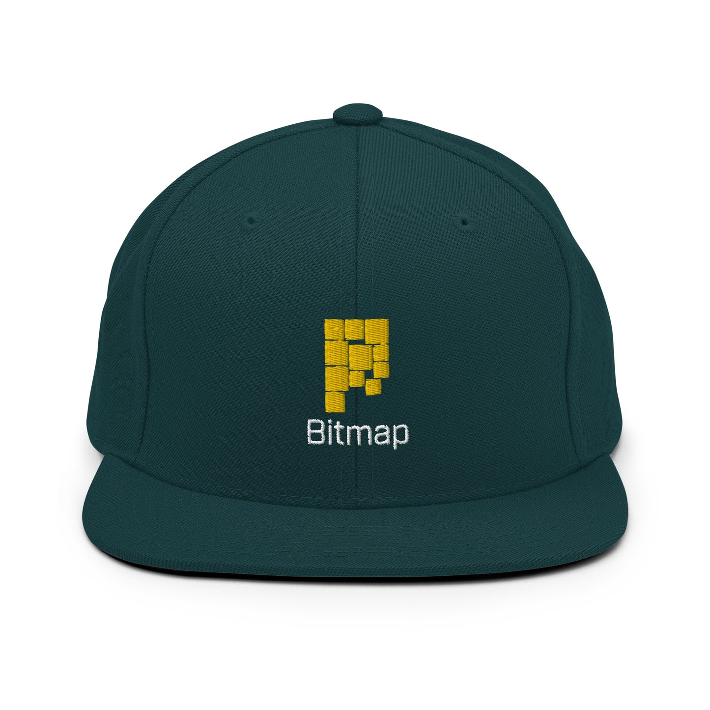 Bitmap Snapback Hat