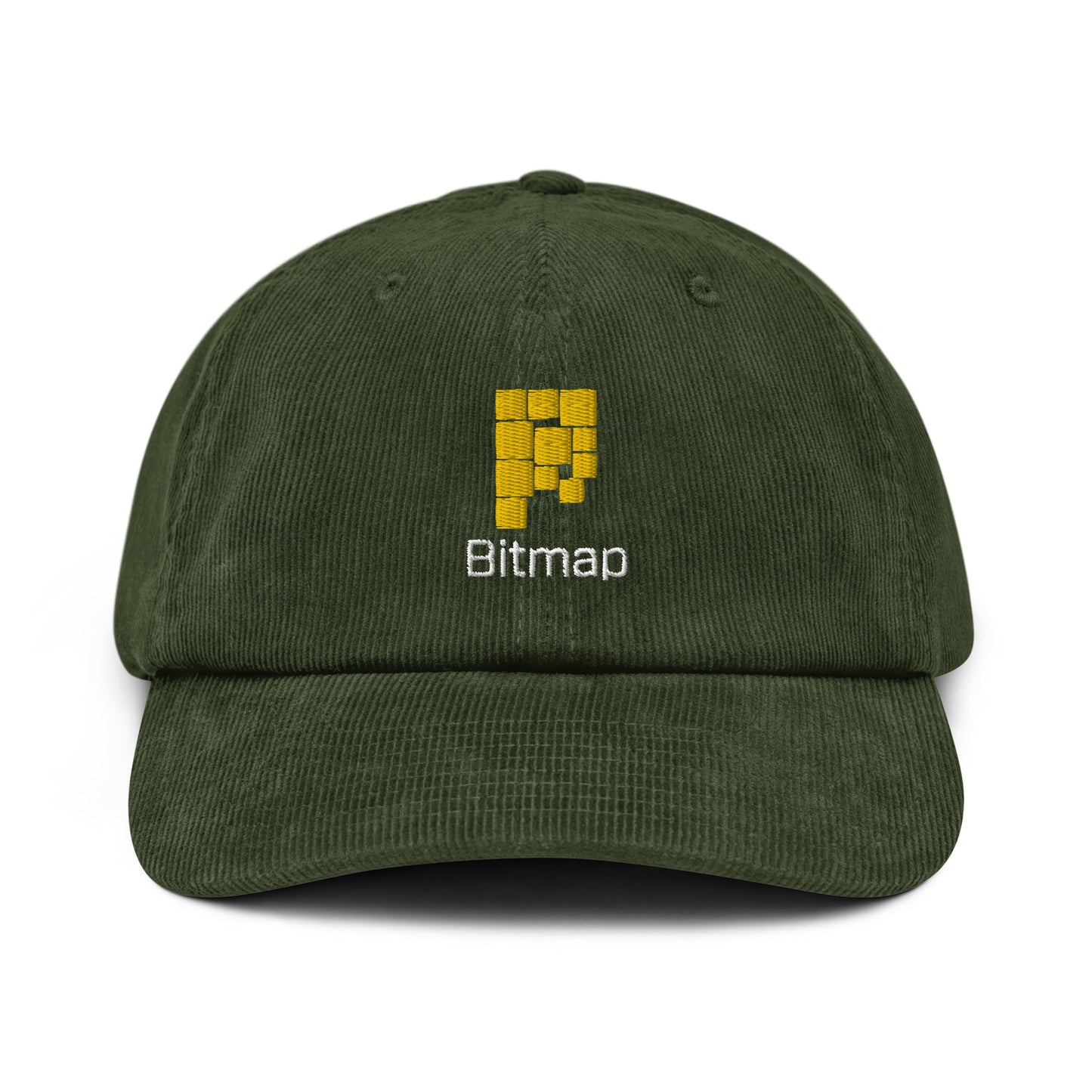 BItmap Corduroy hat